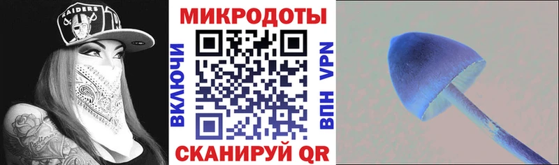 Псилоцибиновые грибы мицелий  купить наркотик  маркетплейс телеграм  Мариинский Посад 